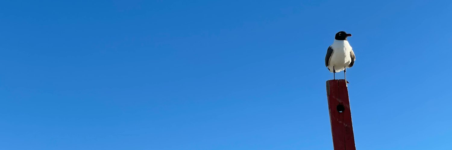 aaronbushnell's profile banner image