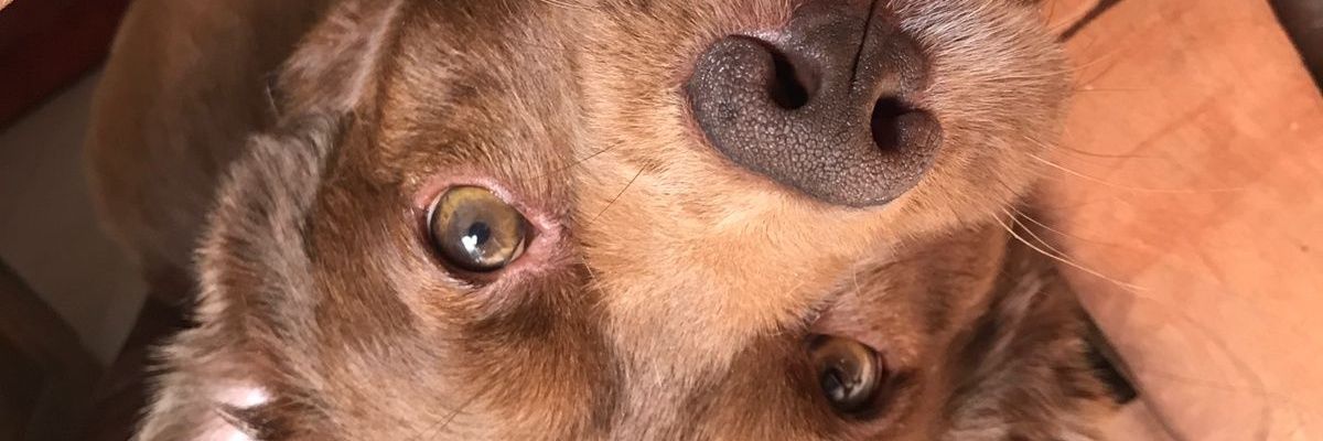 Magalinsaurrald's profile banner image