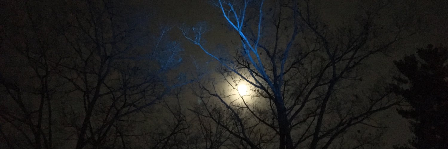 EricARoth's profile banner image