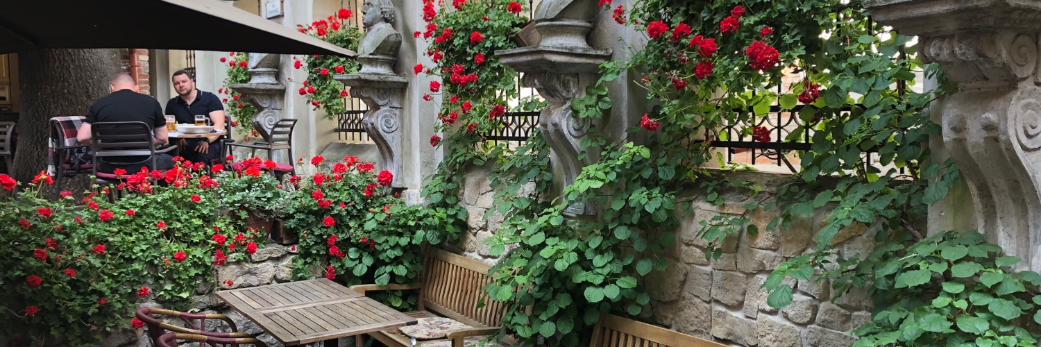 Afina Pallada banner