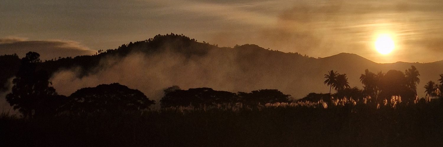 nank1111's profile banner image