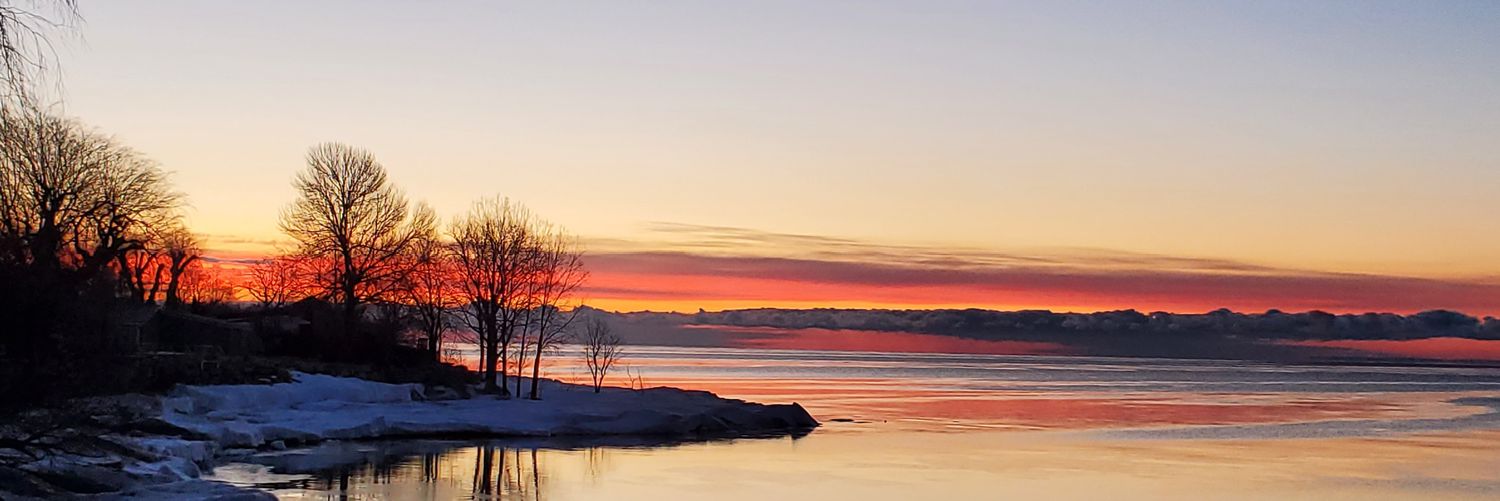 CaroleAtCottage's profile banner image