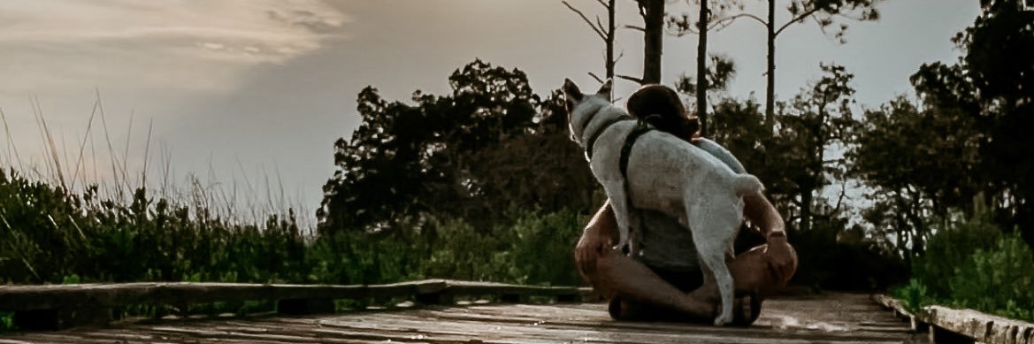 molliembrown's profile banner image