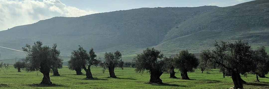 ziadkachmar's profile banner image