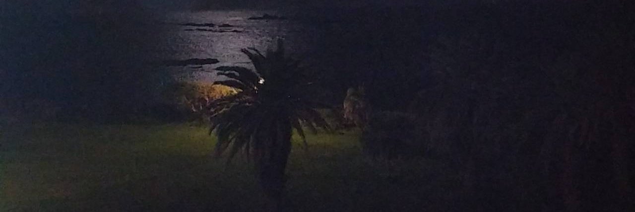 Zarse 🏴󠁵󠁳󠁣󠁡󠁿🇺🇸 banner