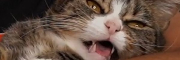 NickSweatTV Profile Banner