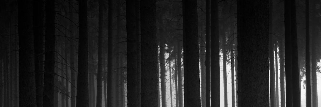 krlreal1's profile banner image