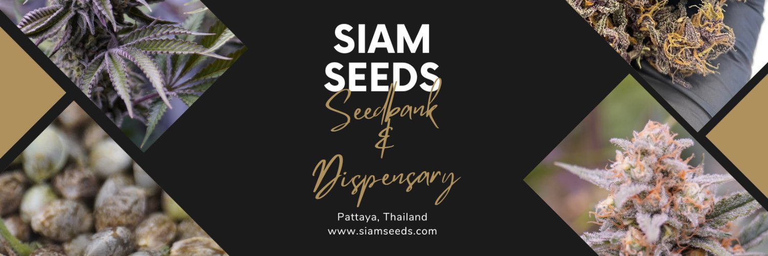 Siam Seeds banner
