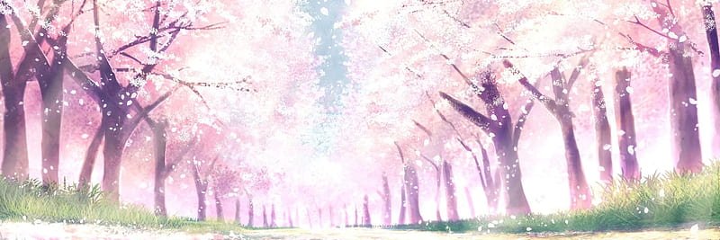 Berrii banner