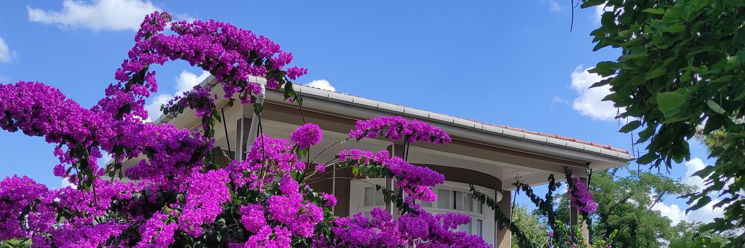 eliif3423's profile banner image