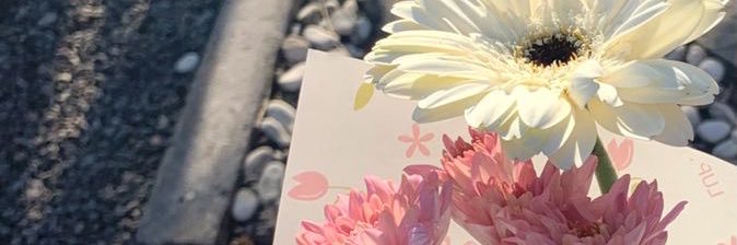 minmin ꒰ จีมมม ⸝⸝⸝ banner