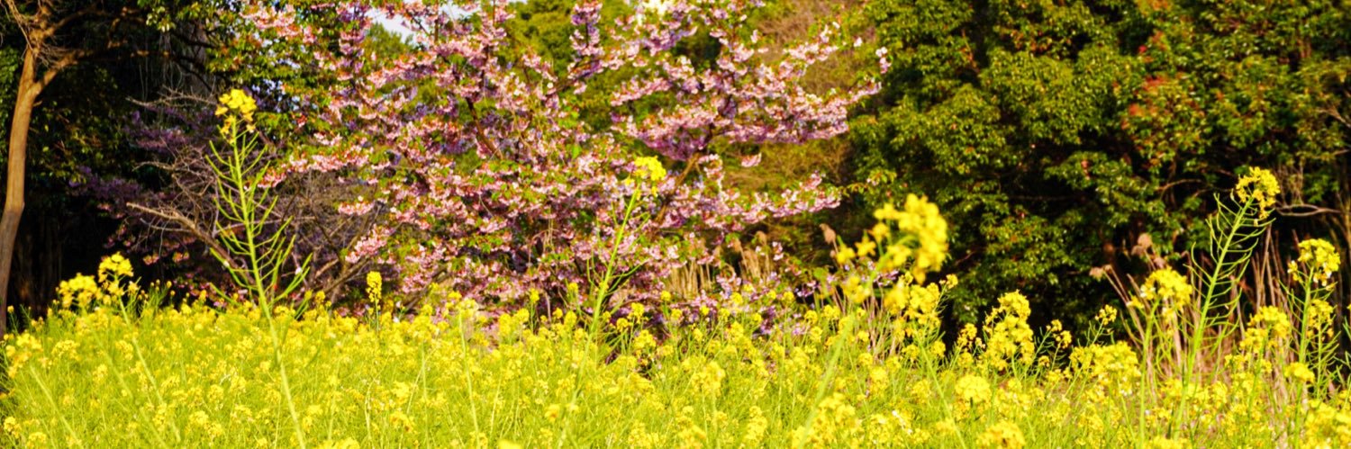 Allen__life's profile banner image
