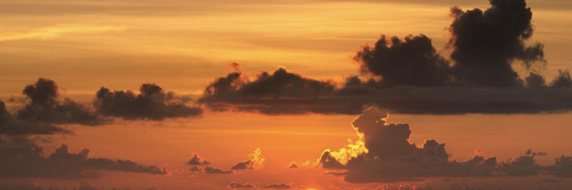 amd9891's profile banner image