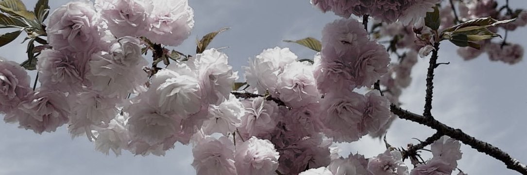 n9t2_En's profile banner image