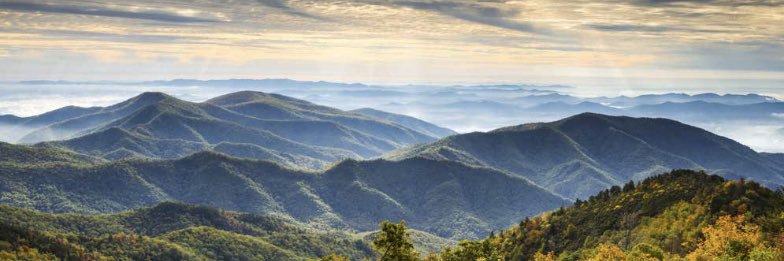 Melissa Varia banner