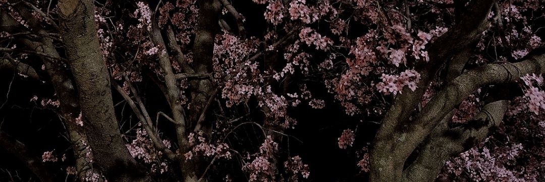 aalduuu_'s profile banner image