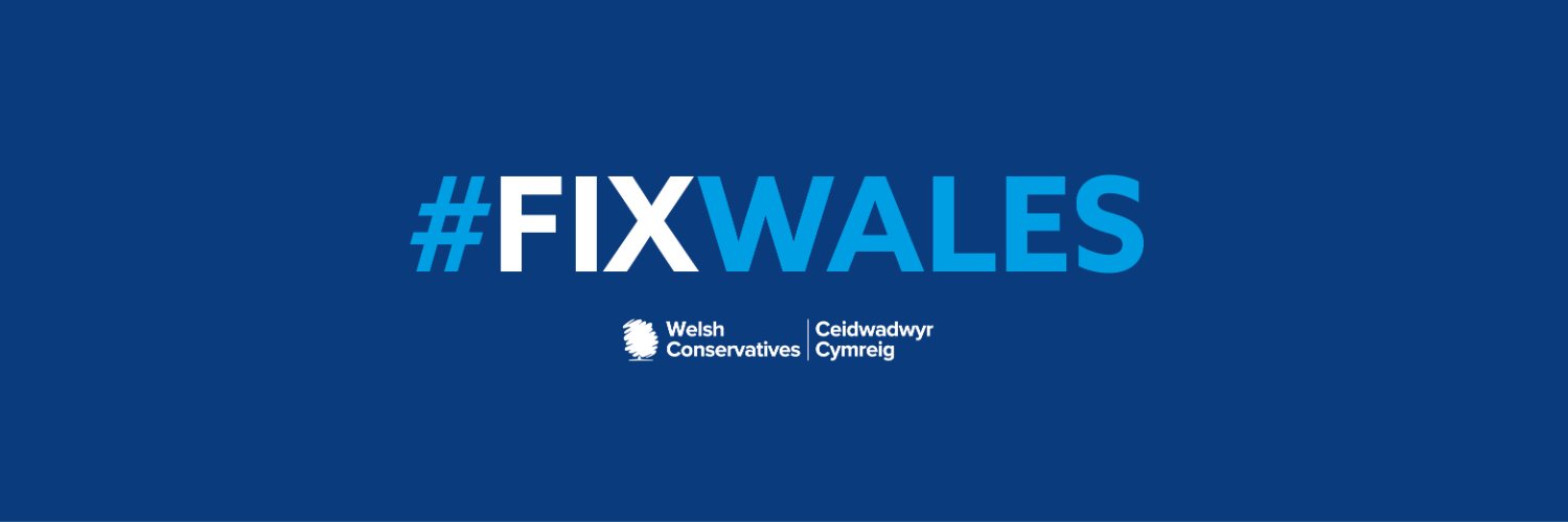 Welsh Conservatives 🏴󠁧󠁢󠁷󠁬󠁳󠁿's banner