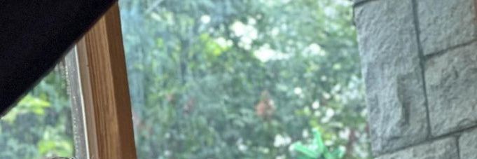 Rena banner