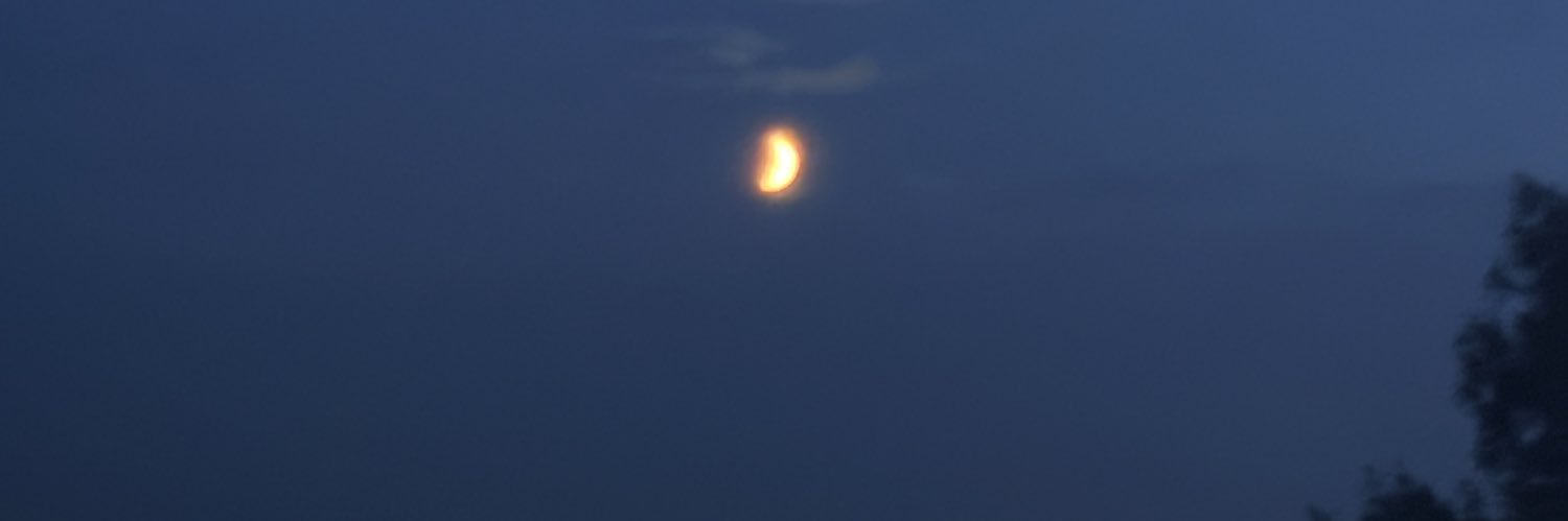 IsviGtz's profile banner image