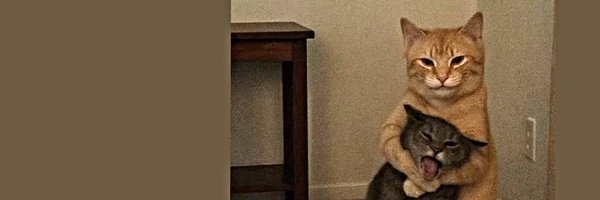 tweeep_ Profile Banner