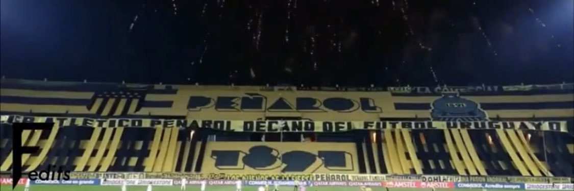 elsebacho's profile banner image