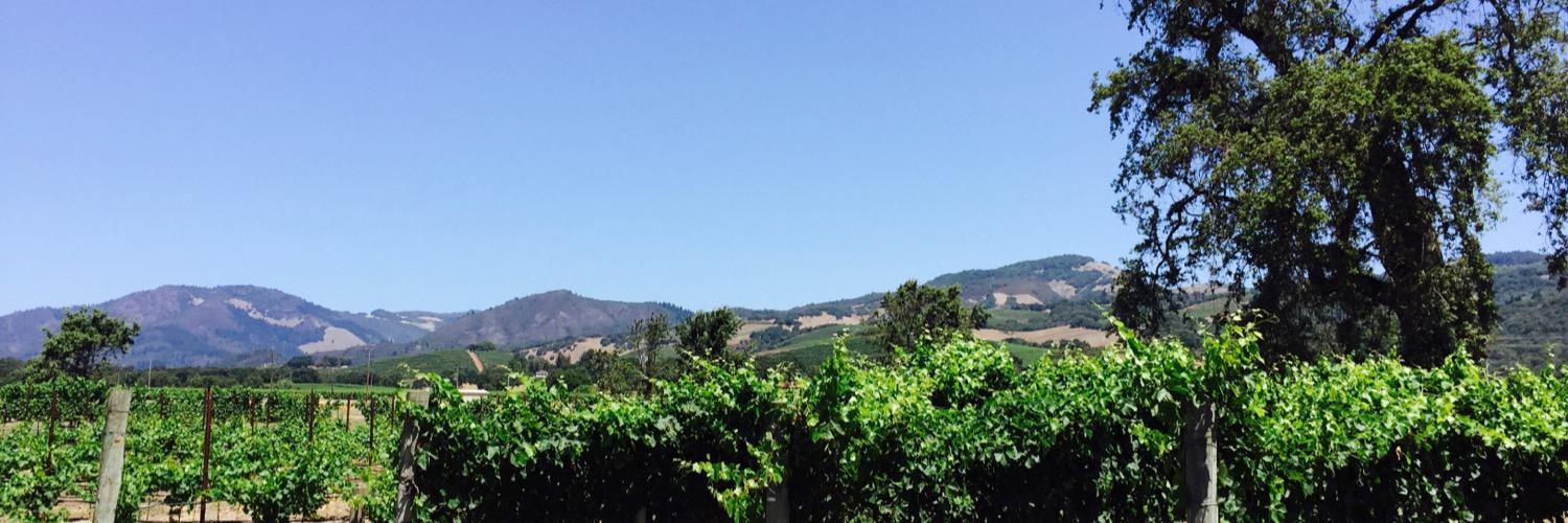AlwaysOntheHill's profile banner image