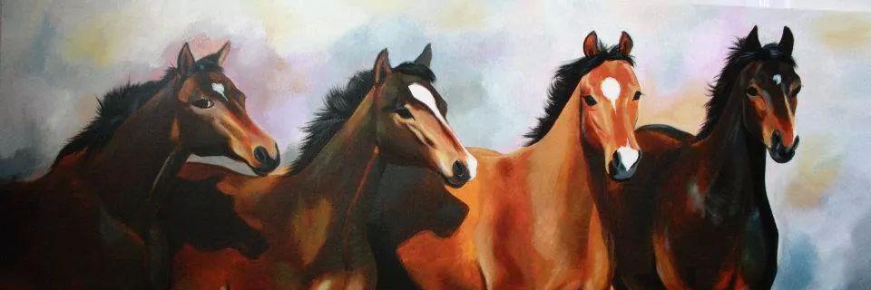 VishwaJeetmsg's profile banner image