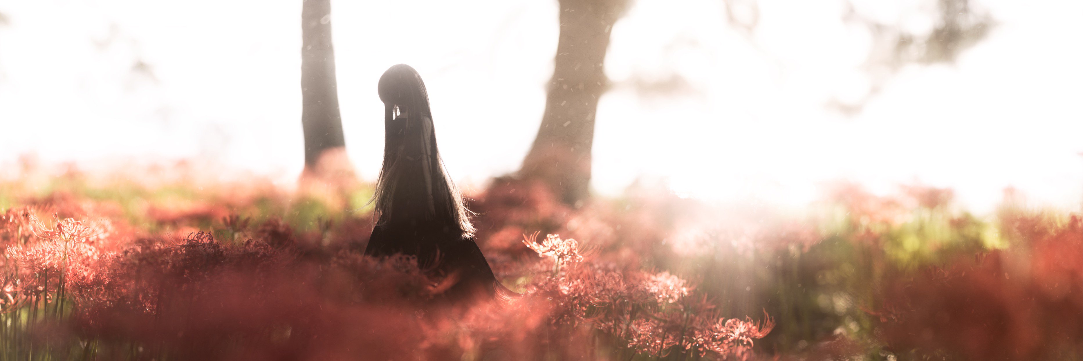 Nashiko13's profile banner image