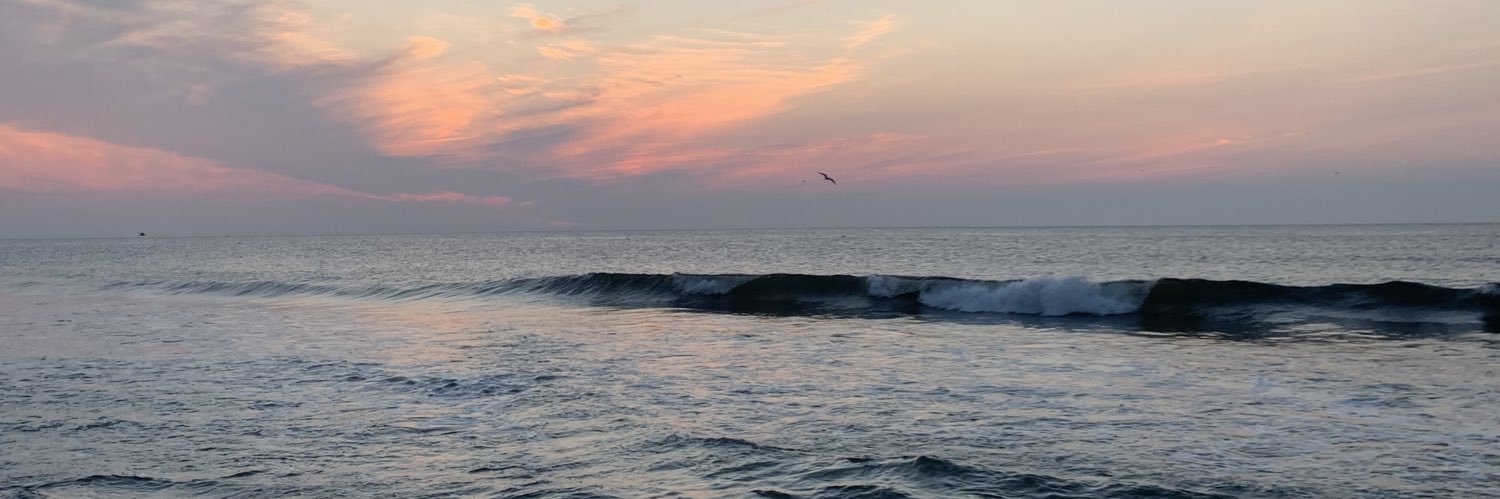 maggiewronko's profile banner image