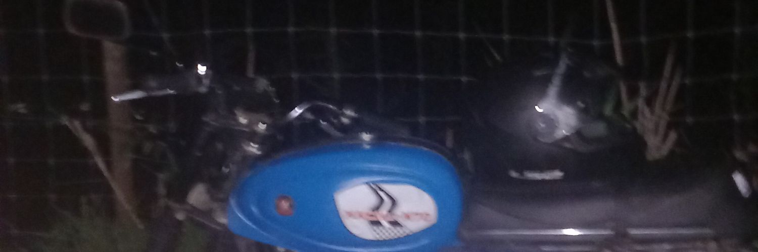 Řüňæ banner