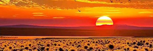 ElayneK21 Profile Banner