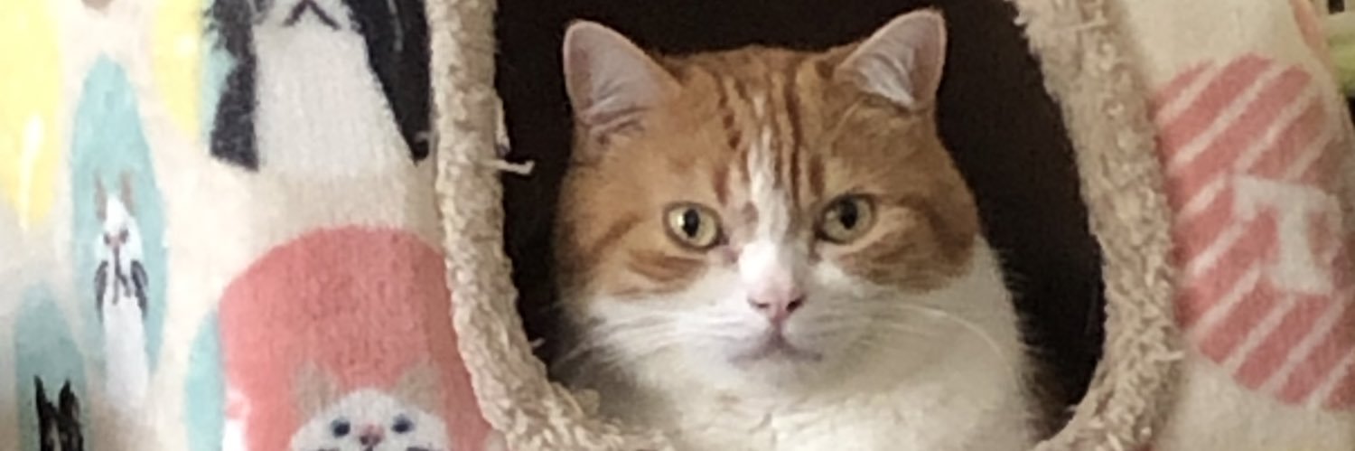 taxeed's profile banner image