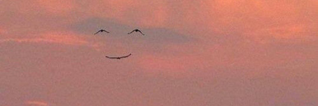 torbass's profile banner image