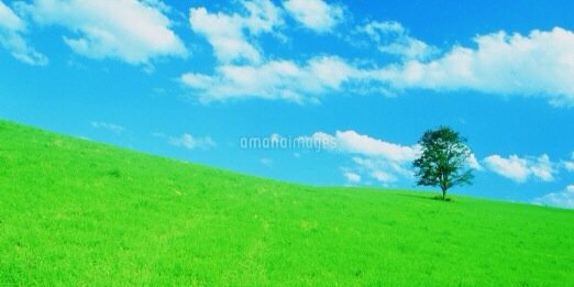 gotthemail's profile banner image
