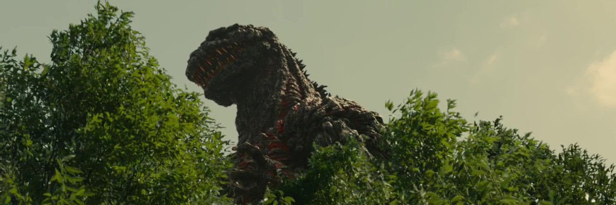gcvpm21's profile banner image