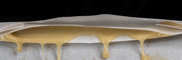 hikertrashhash Profile Banner