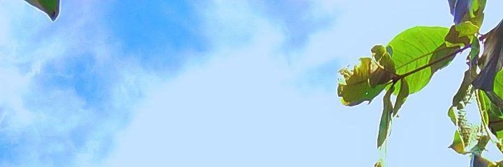 Ingabire 🦋's banner