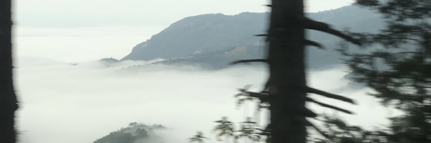 edgarmazz's profile banner image