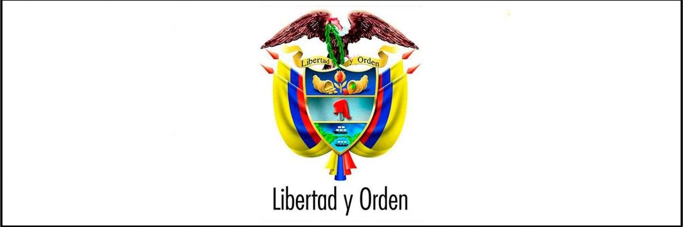 Magnolia Correa banner