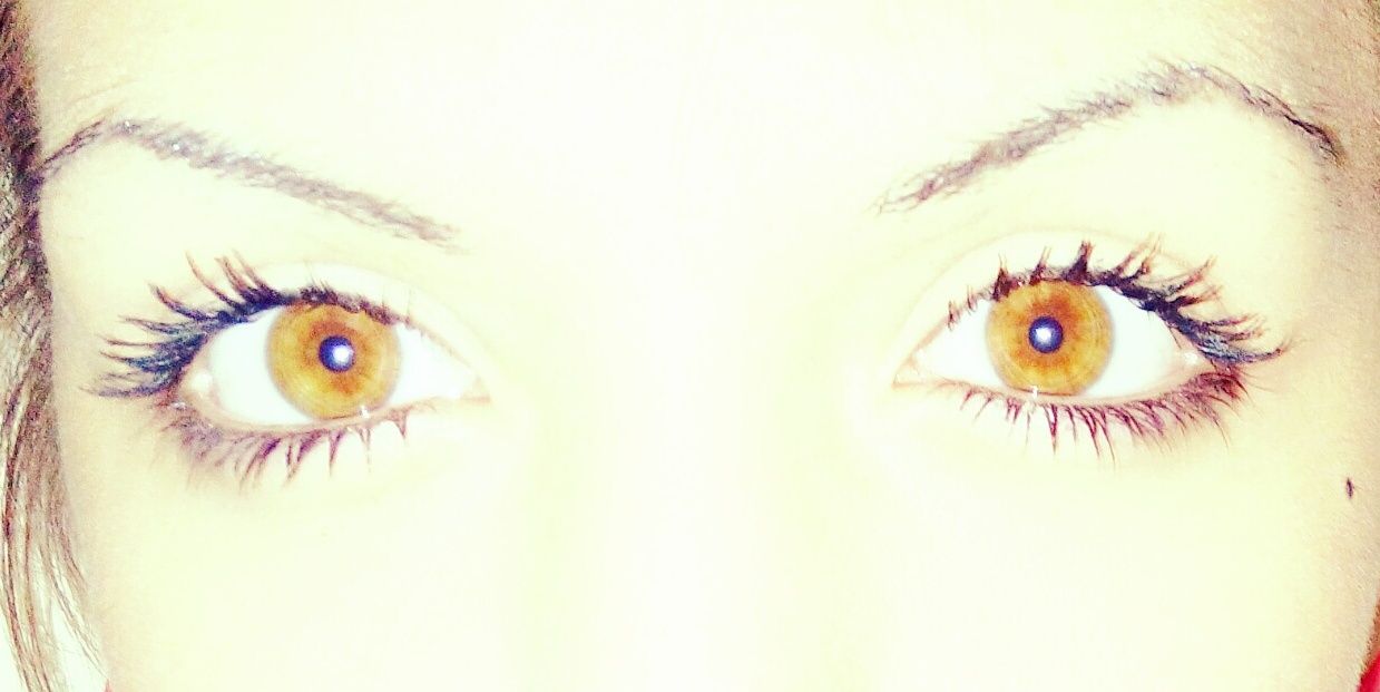 ShaLucia16's profile banner image