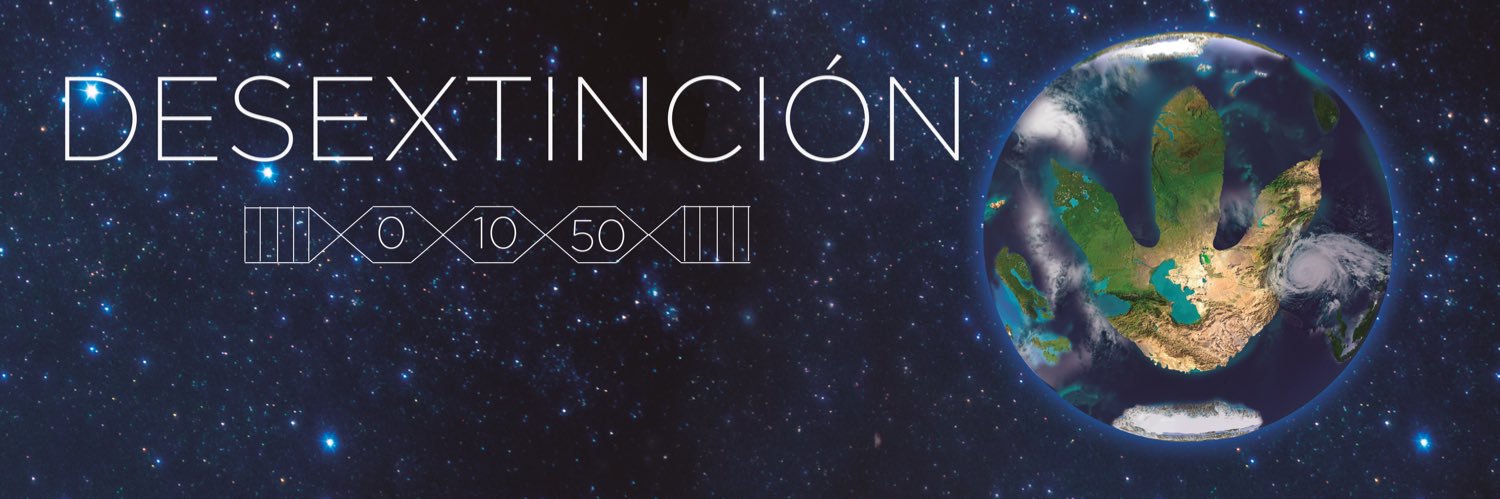 Halle Grosso🦖 banner