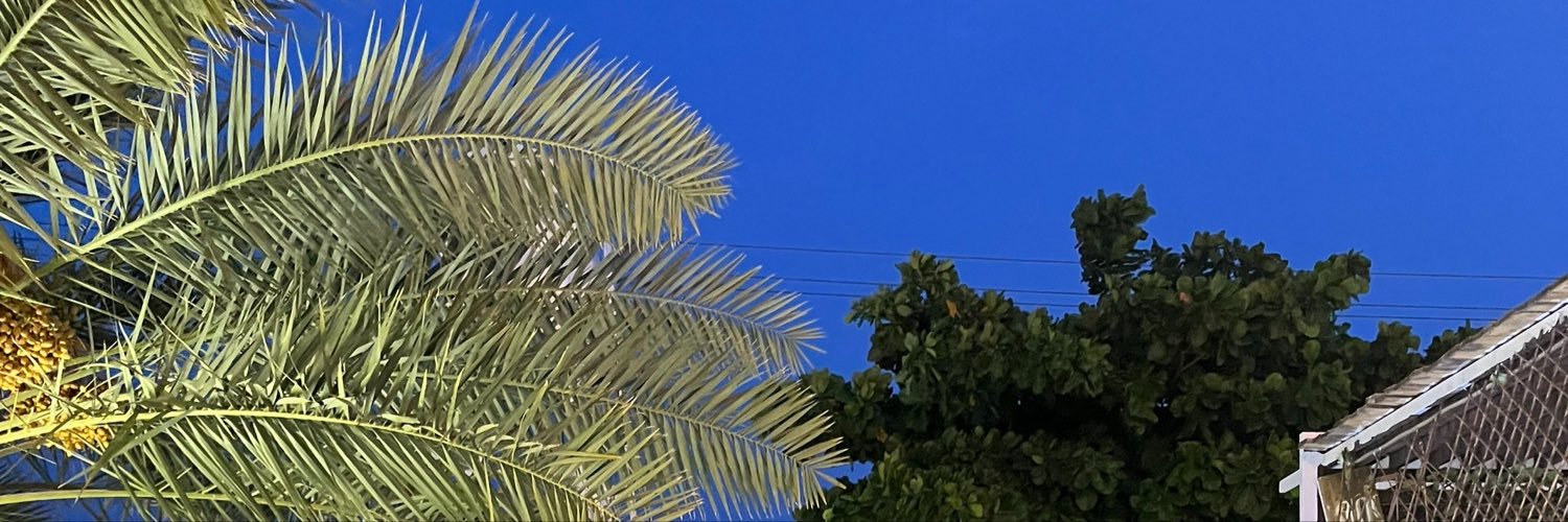 morebigcat's profile banner image