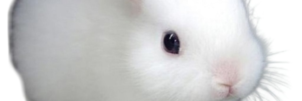 meopoxx's profile banner image