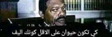 أبوحميد banner