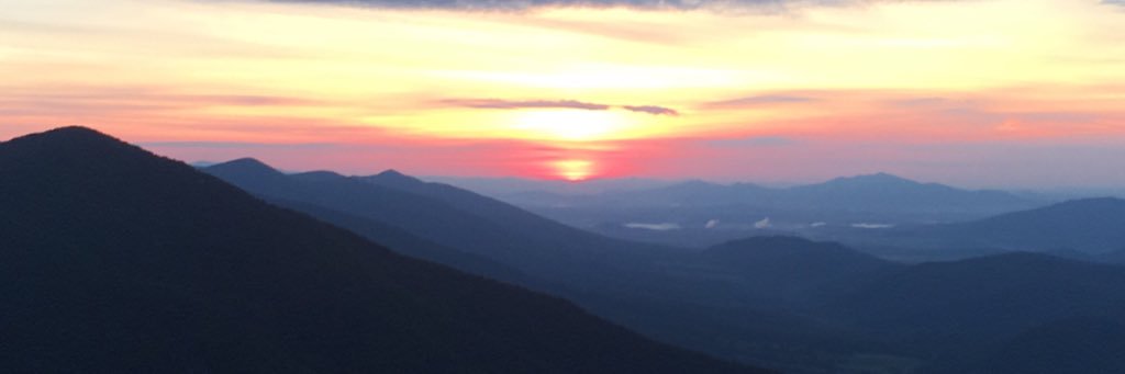 Brandijmitchell's profile banner image
