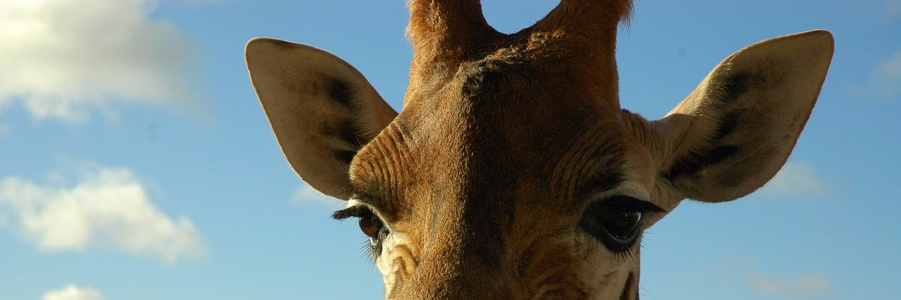 PhilMarshman's profile banner image