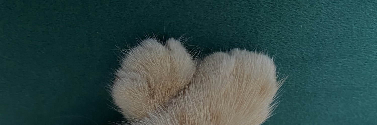 asenaerdeem's profile banner image
