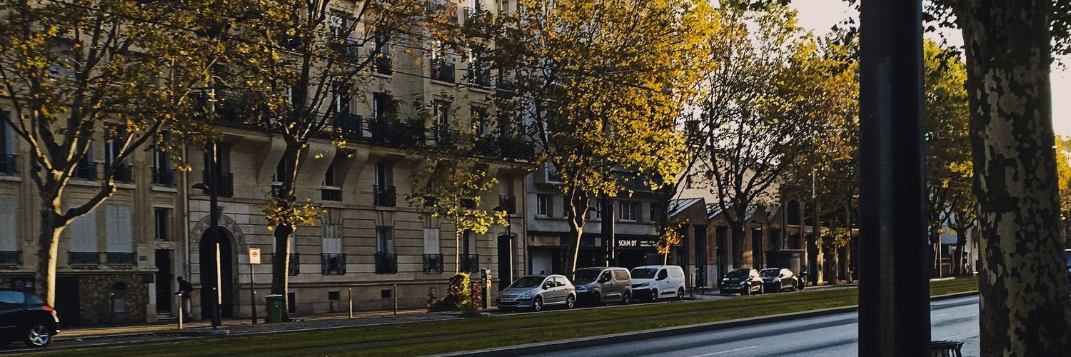 zselykukaaa's profile banner image
