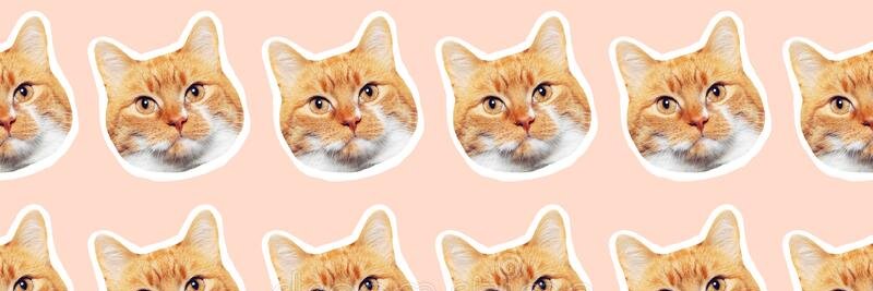 JaredCostall's profile banner image