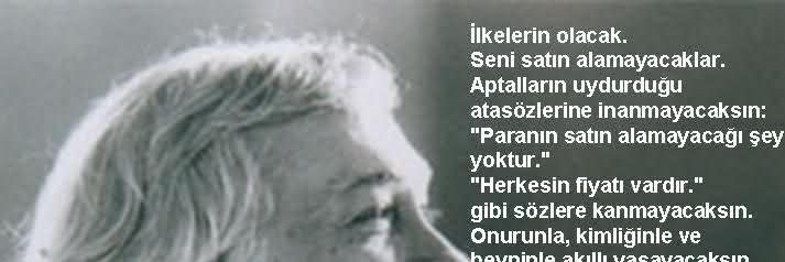 Birsennn Cengiz banner